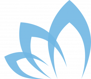 LeBuCo Logo Blau